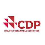Picture of carbon disclosure project