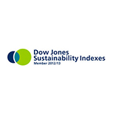 Picture of dow jones sustainability indexes